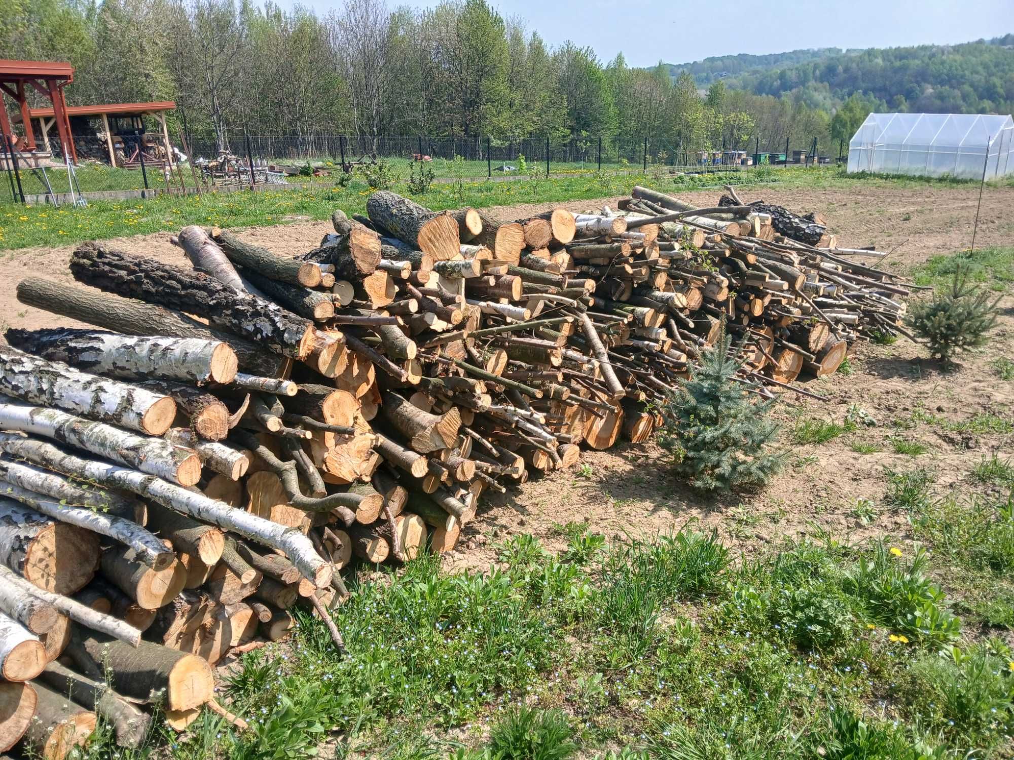 drewno opałowe, brzoza, trzesnia, jesion, klon