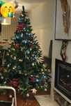 Árvore de Natal 240cms