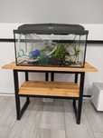 Akwarium 54l 60x30x30cm  Wyposażenie Stolik Aquael Classic Box 60