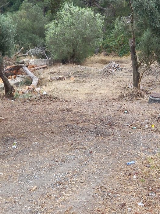 Limpeza e vedação de Terrenos