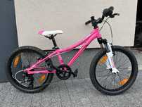 Rower Kellys Lumi 50