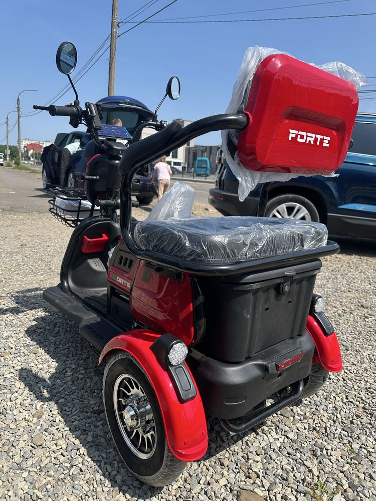 Трицикл Forte Family  Новий
