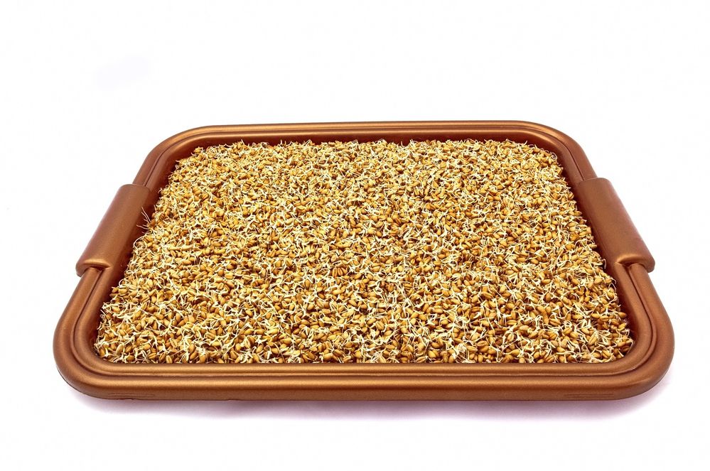 Sementes Microvegetais / Brotos