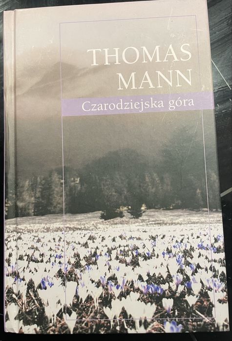 Thomas Mann - Czarodziejska góra