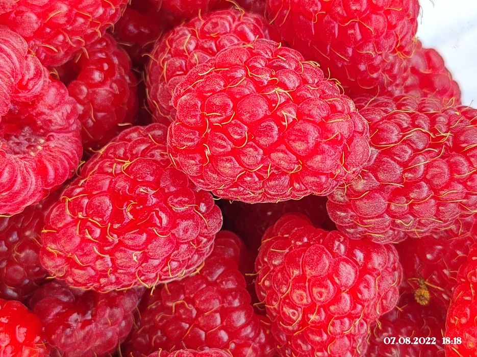 Сушена малина смачна