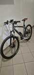 Rower Focus Whistler 26 cali-M