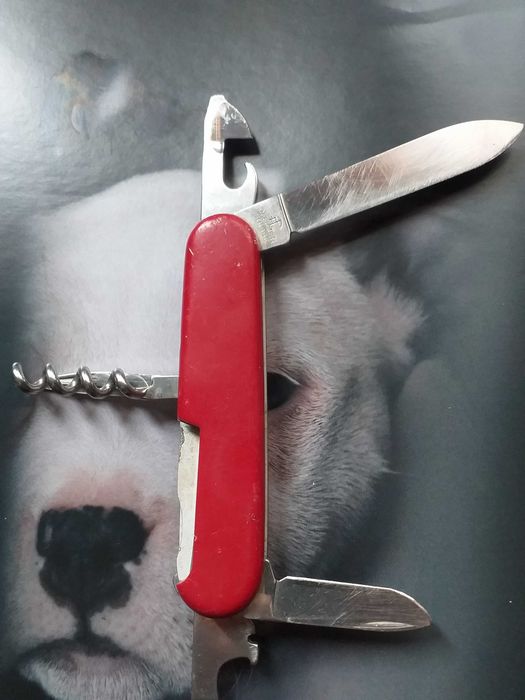 canivetes victorinox (lote)