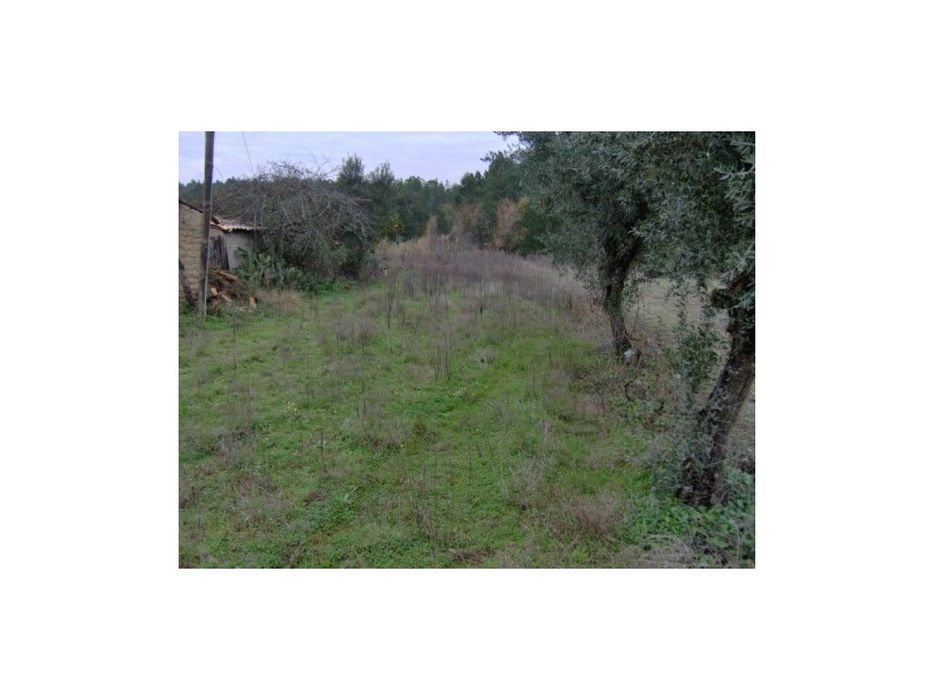 Terreno Venda Leiria