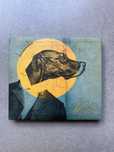 Muchy – „Chcę Ci coś powiedzieć” (CD + DVD)