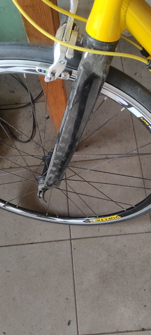 ROWER  JEDYNY taki na olx! okazja !