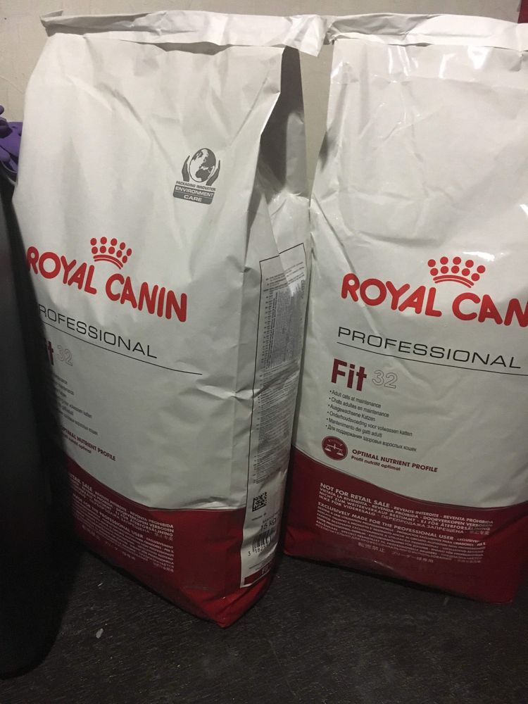RC Maine Coon 4kg / Worek‼️ Kitten • Adult mix inne Bri ℹ️ RoyalCanin