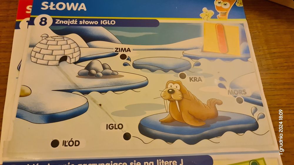 Marcheweczka ABC słowa, zdania + mówiąca i świecąca marchewka + gratis