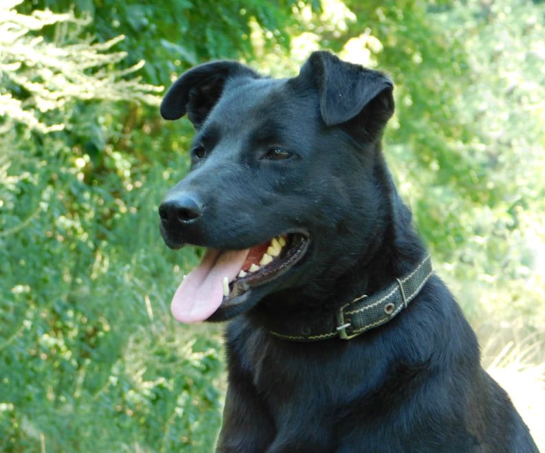 Чернушка шукає родину