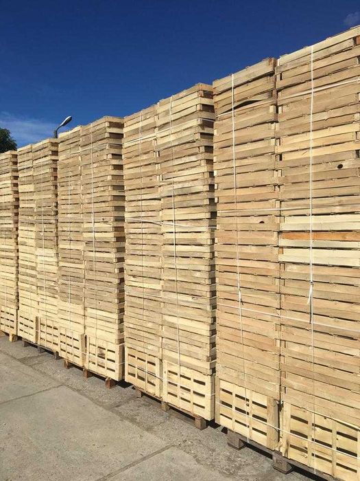 skrzynka, łuszczka-łuszczki na por, kalafior, sałata, rzodkiewka,