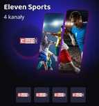 Pakiet ELEVEN SPORTS w Pilot WP na rok