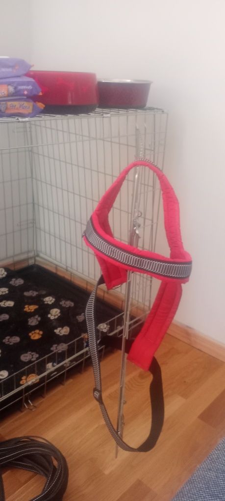 Kratka dla psa ,szelki , obroża nie używana z odblaskiem .