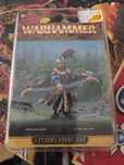 Marcus Wulfhard Warhammer Old World Empire