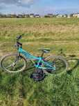Rower dziecięcy Alpina Rickstar10