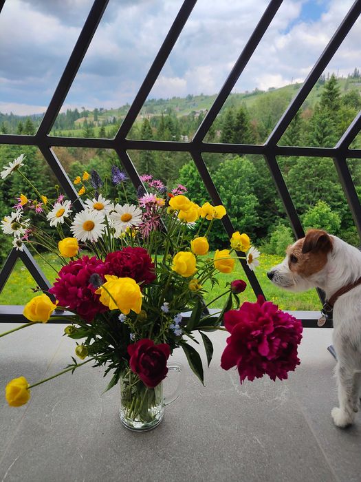 Котедж в Карпатах (Яблуниця)