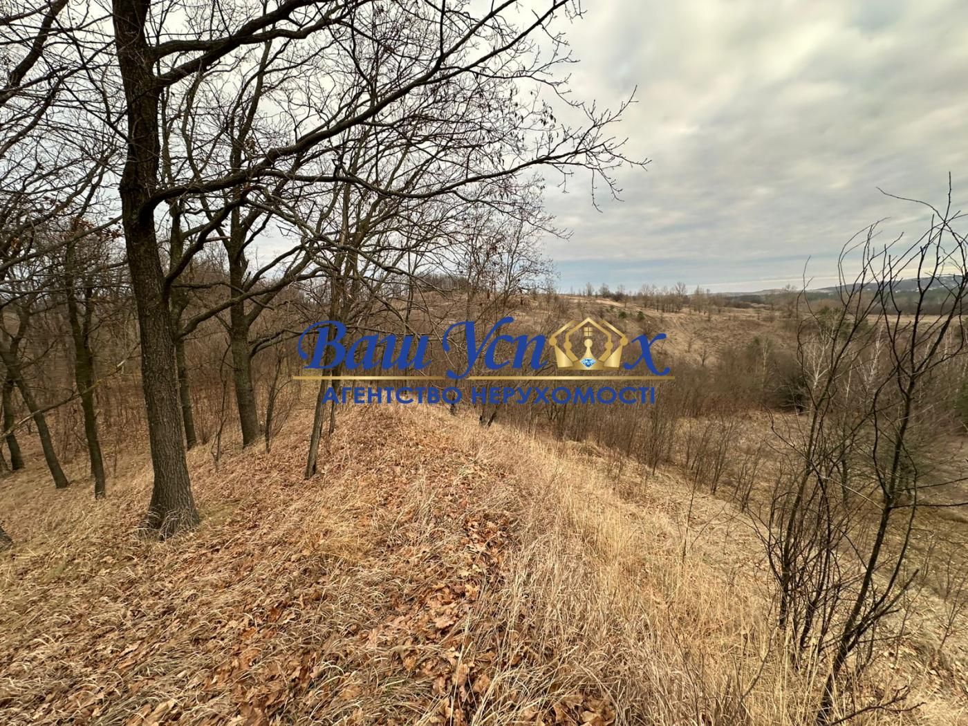 Продаж земли сільгосппризначення  Школьная , село Ходосовка
