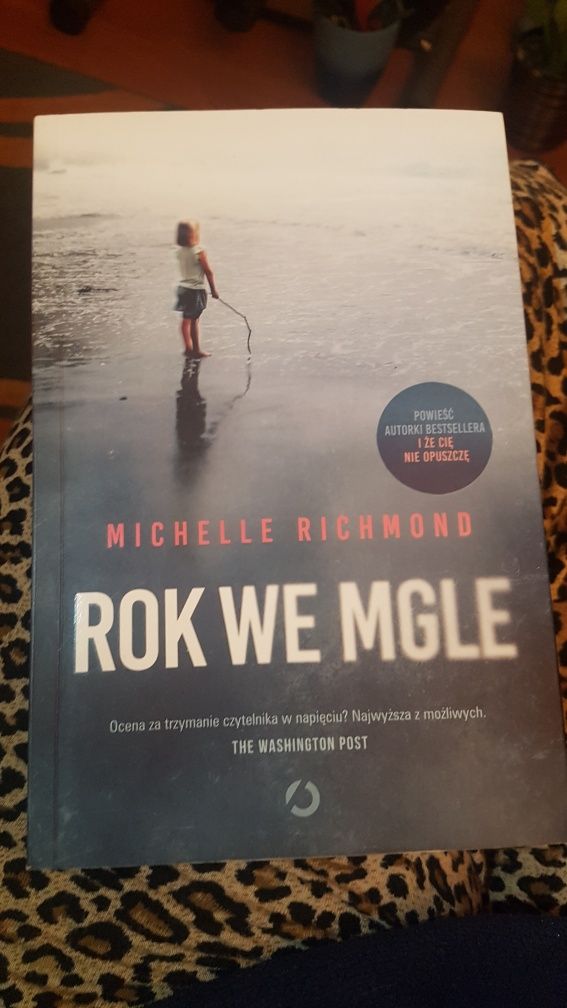 Michelle Richmond Rok we mgle