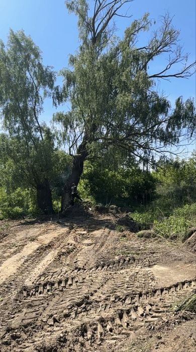 Комплексний догляд за ділянкою