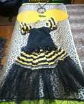 Fardas de Carnaval