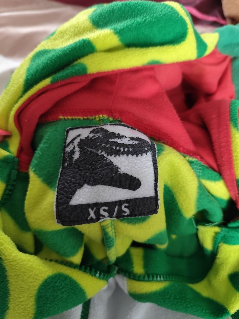 Przebranie dinozaura