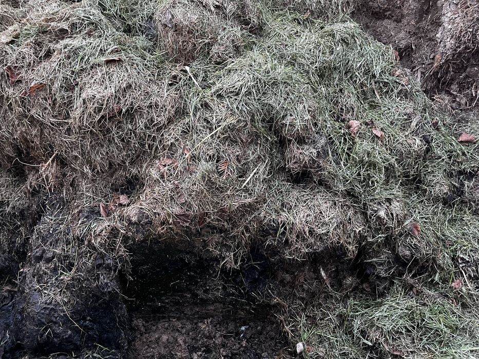 BIO kompost, naturalny nawoz, Bomba zapachowa 5kg