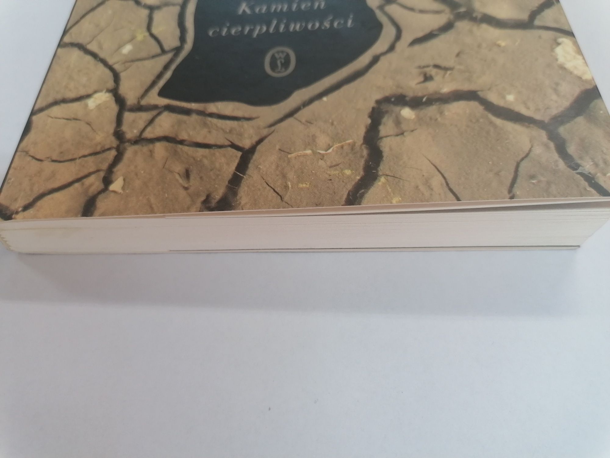 Atiq Rahimi Kamień cierpliwości