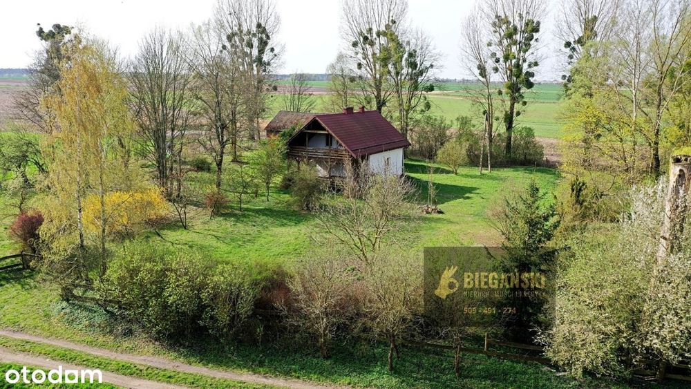 Natura, cisza, kameralność, śpiew ptaków