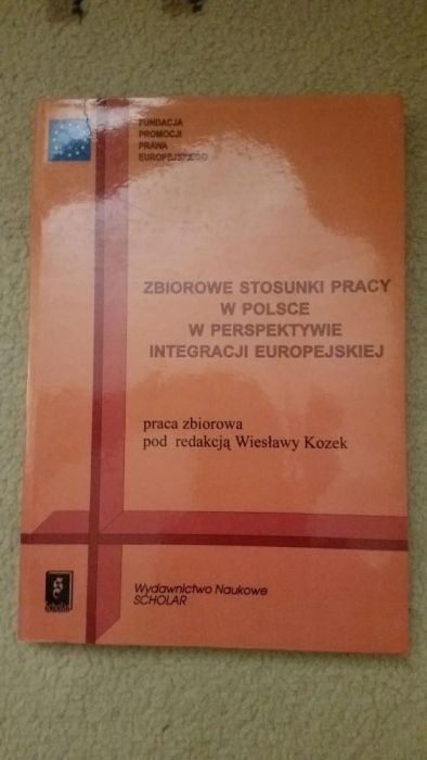 Zbiorowe stosunki pracy w Polsce w perspektywie integracji europejskie