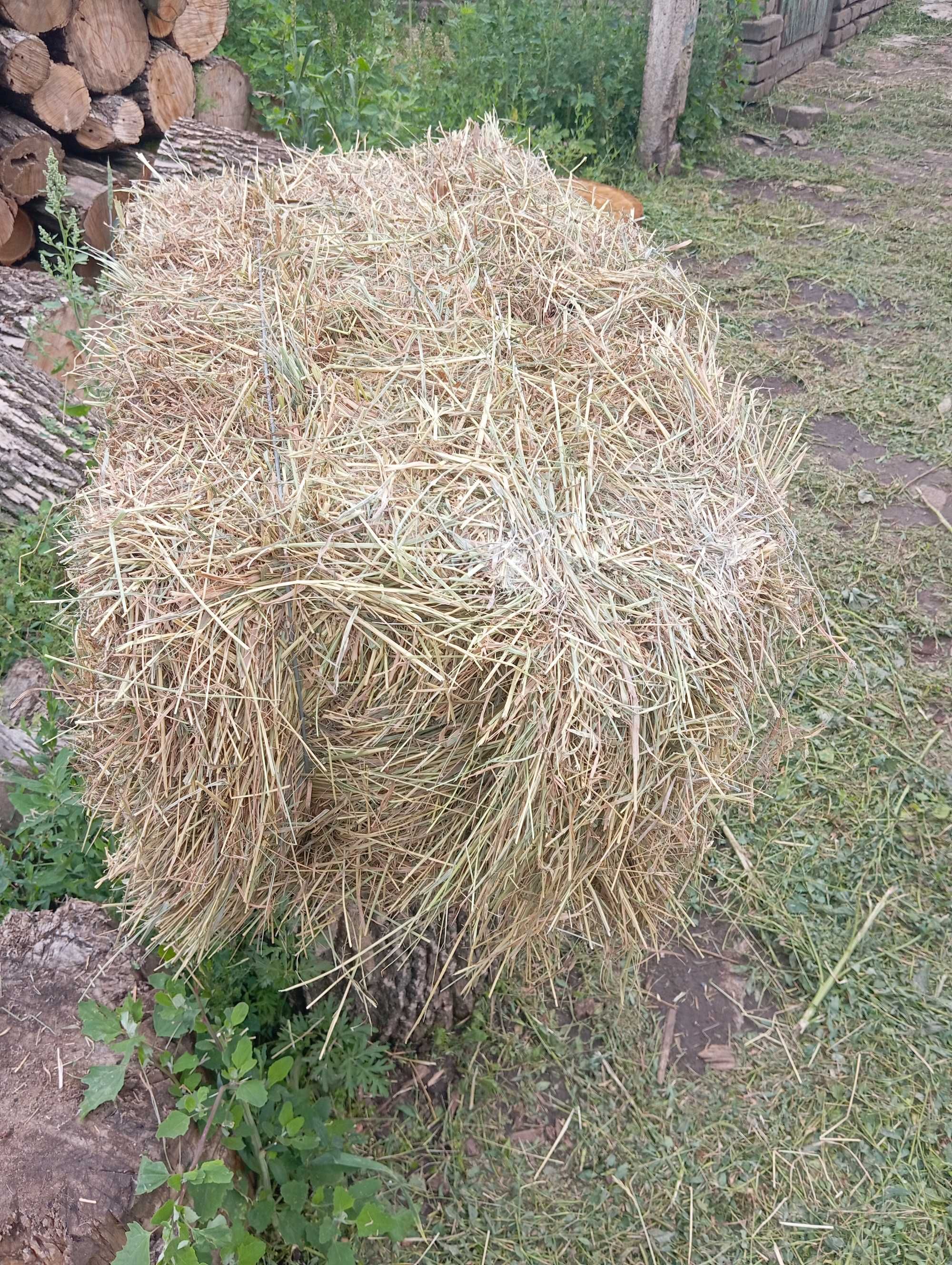 Сено луговое разно травие