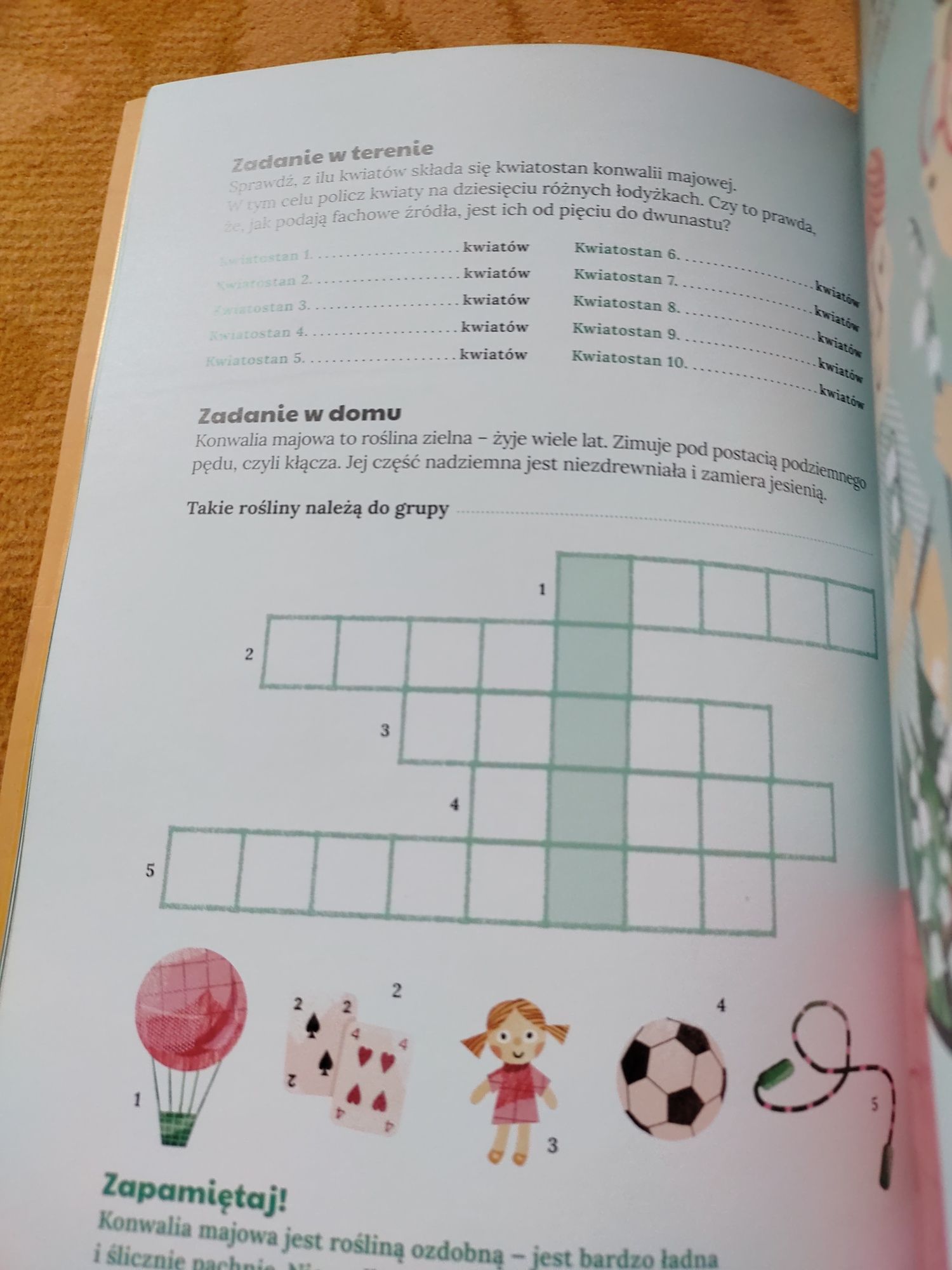Książka z naklejkami Mój atlas roślin polski