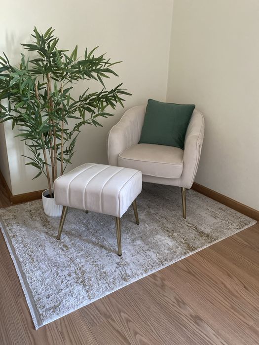 Poltrona, puff, tapete, almofada e planta.