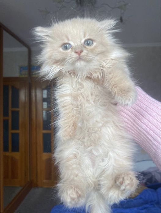 Волшебно красивая радость