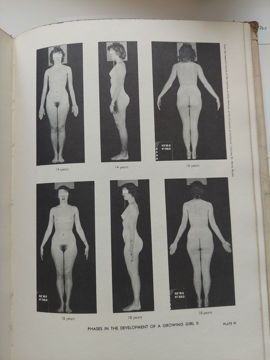 Livro an atlas of anatony for artists
