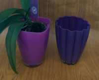 Стеклянные кашпо для орхидей . В наличии три штуки
