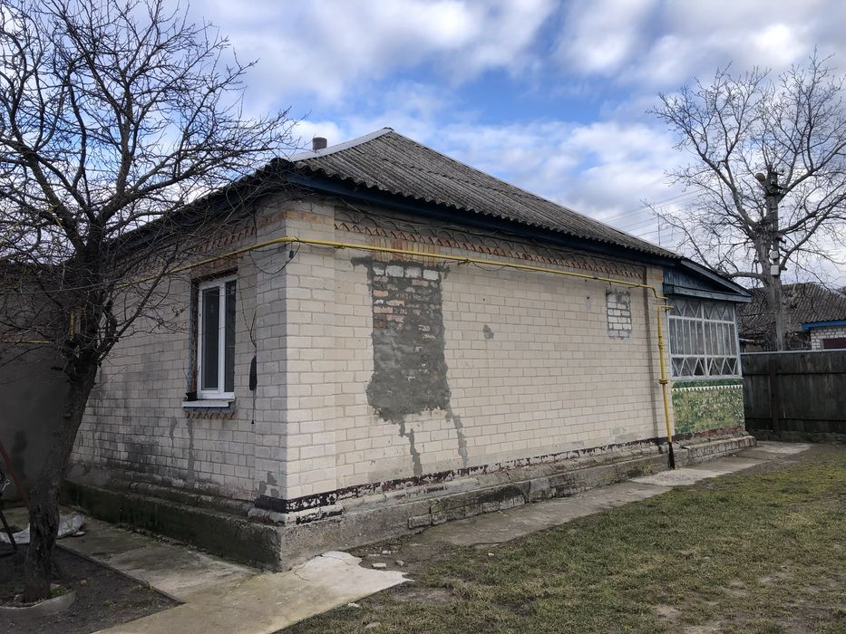 Продам будинок 100кв/м Будище