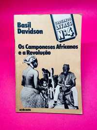 Os Camponeses Africanos e a Revolução - Basil Davidson