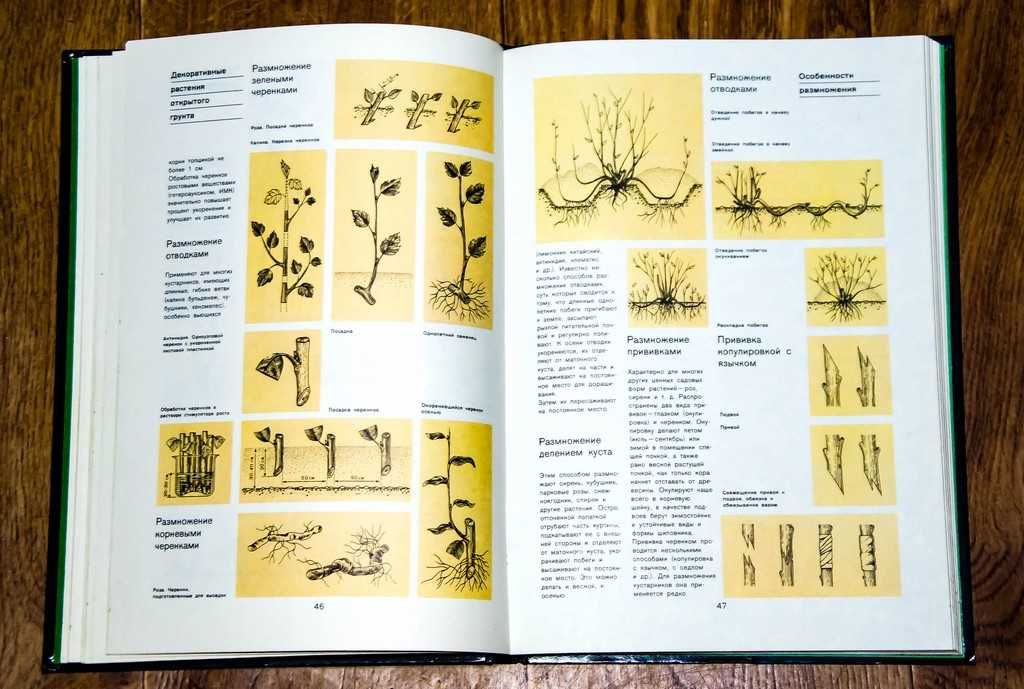 Цветоводство в сельской местности 1989
