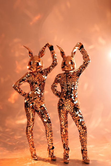 Дзеркальні Костюми, Костюмовані шоу!