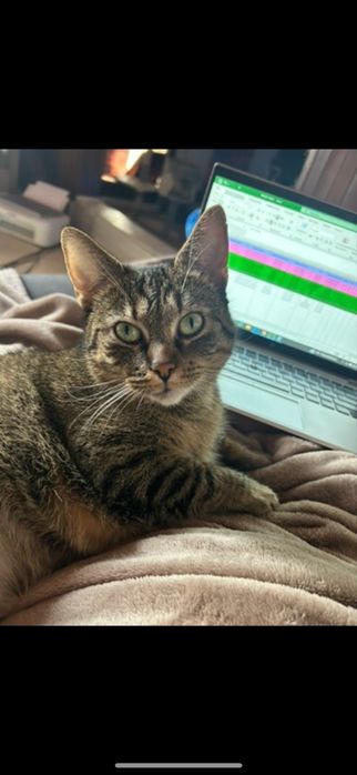 Cudowna Rysia szuka swojego człowieka