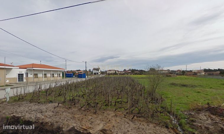 Terreno Novo em Vagos - 1260m² por 45.000€