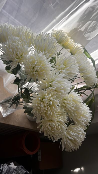 Bukiet 20 sztuk wysokich, nowych chryzantem w kolorze białym