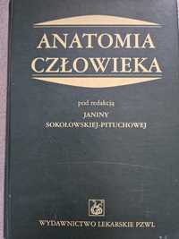 Anatomia człowieka red.Sokołowska-Pituchowa