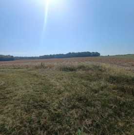 Wyjątkowe gospodarstwo rolne nieopodal lasu