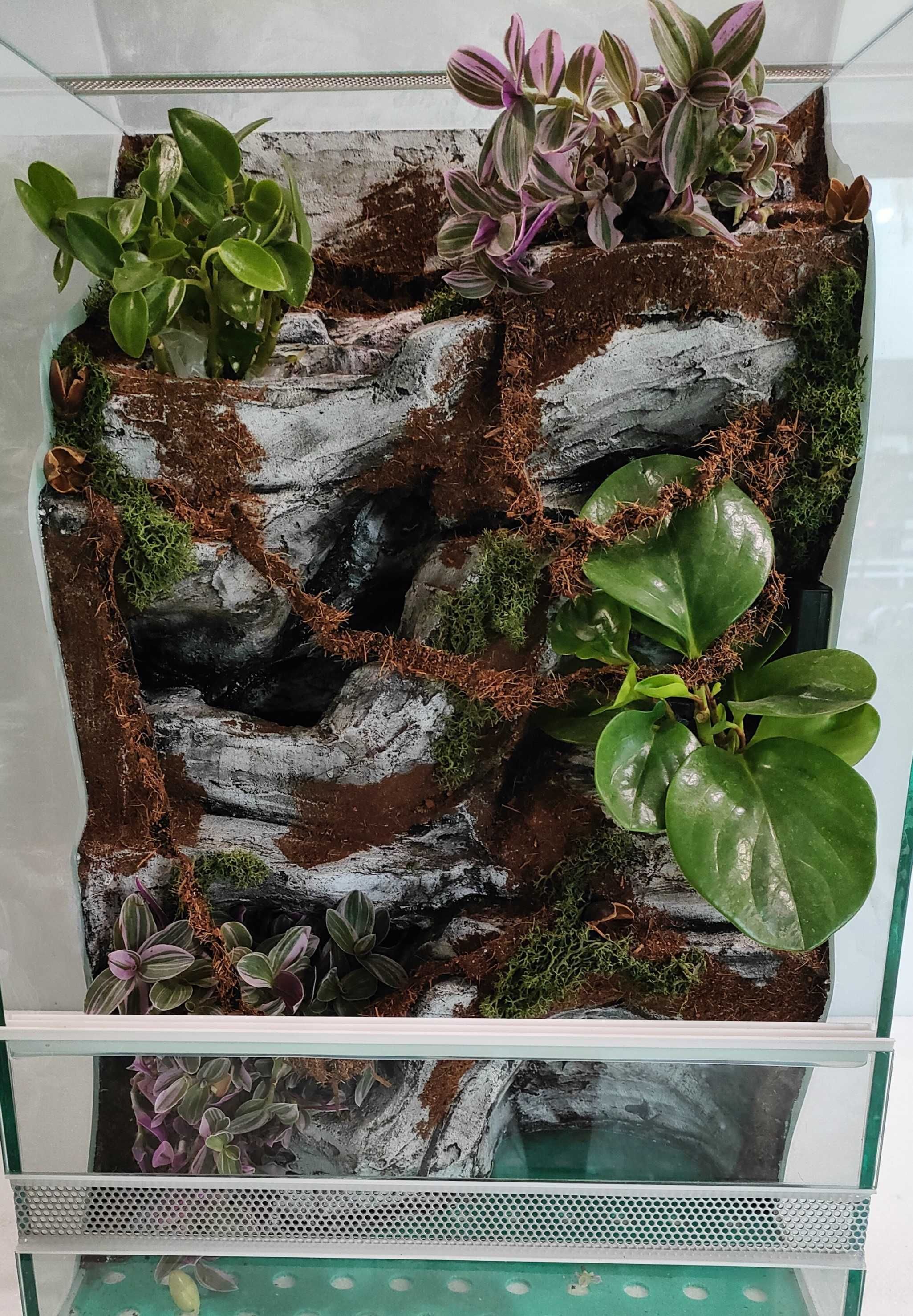 Terrarium z wodospadem i oświetleniem dla gekona AquaWaves TW05WSzT