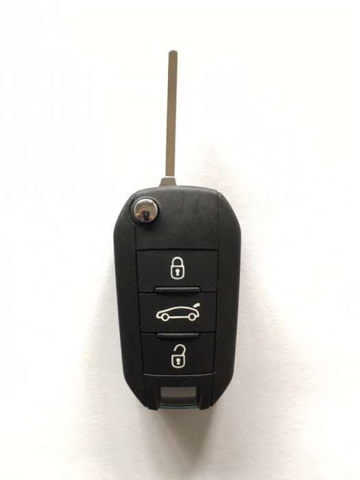 Chave peugeot / citroen completa com programaçao