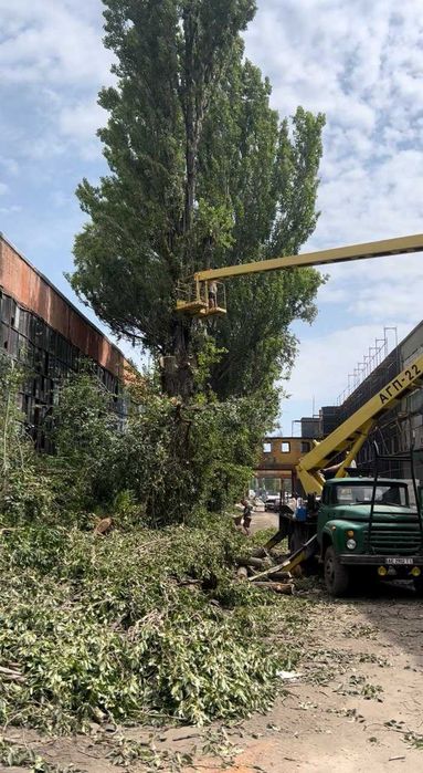 Профессиональная расчистка участков и вывоз мусора в Днепре